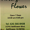Massage Flower exterior