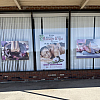 Healing Body Massage exterior