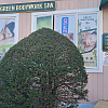 Green Bodywork Spa exterior