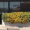 Lily Spa exterior