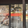 Joy Spa exterior
