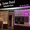 Lotus Pond exterior